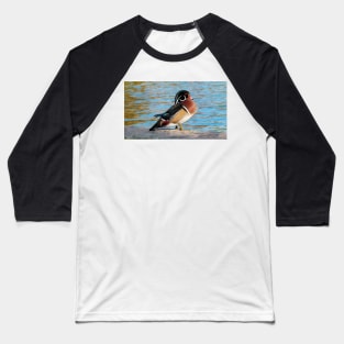 Wood Duck Posing Next To a Pond Baseball T-Shirt